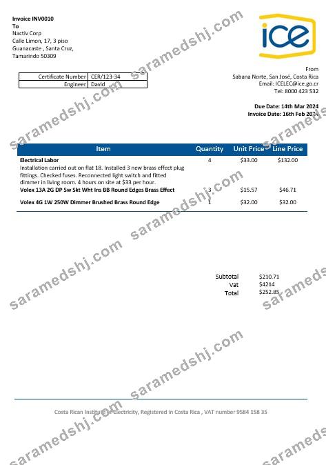 Costa Rica Costa Rican Institute of Electricity business utility bill word and pdf formats